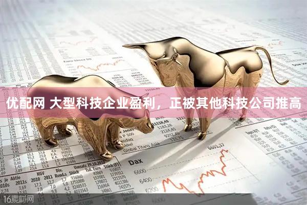 优配网 大型科技企业盈利，正被其他科技公司推高